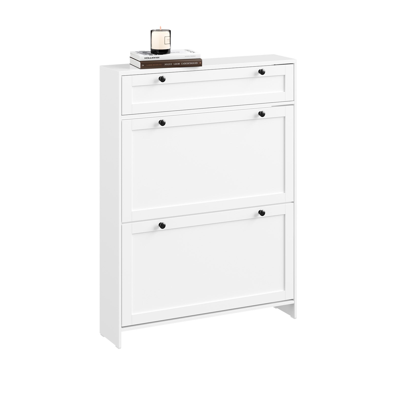 SoBuy | Meuble à chaussures étroit | avec 2 rabats | Blanc | FSR207-W