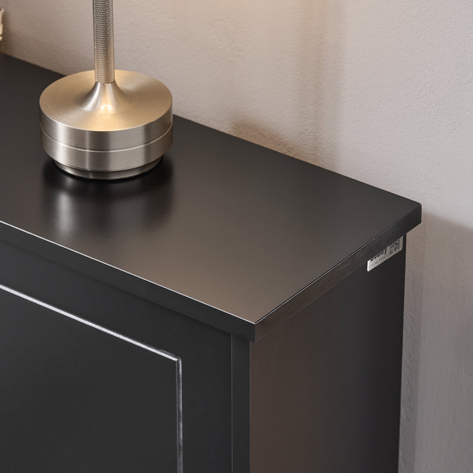 SoBuy | Meuble à chaussures | Rangement à chaussures à 2 portes | Coffre à chaussures noir | FSR99-SCH