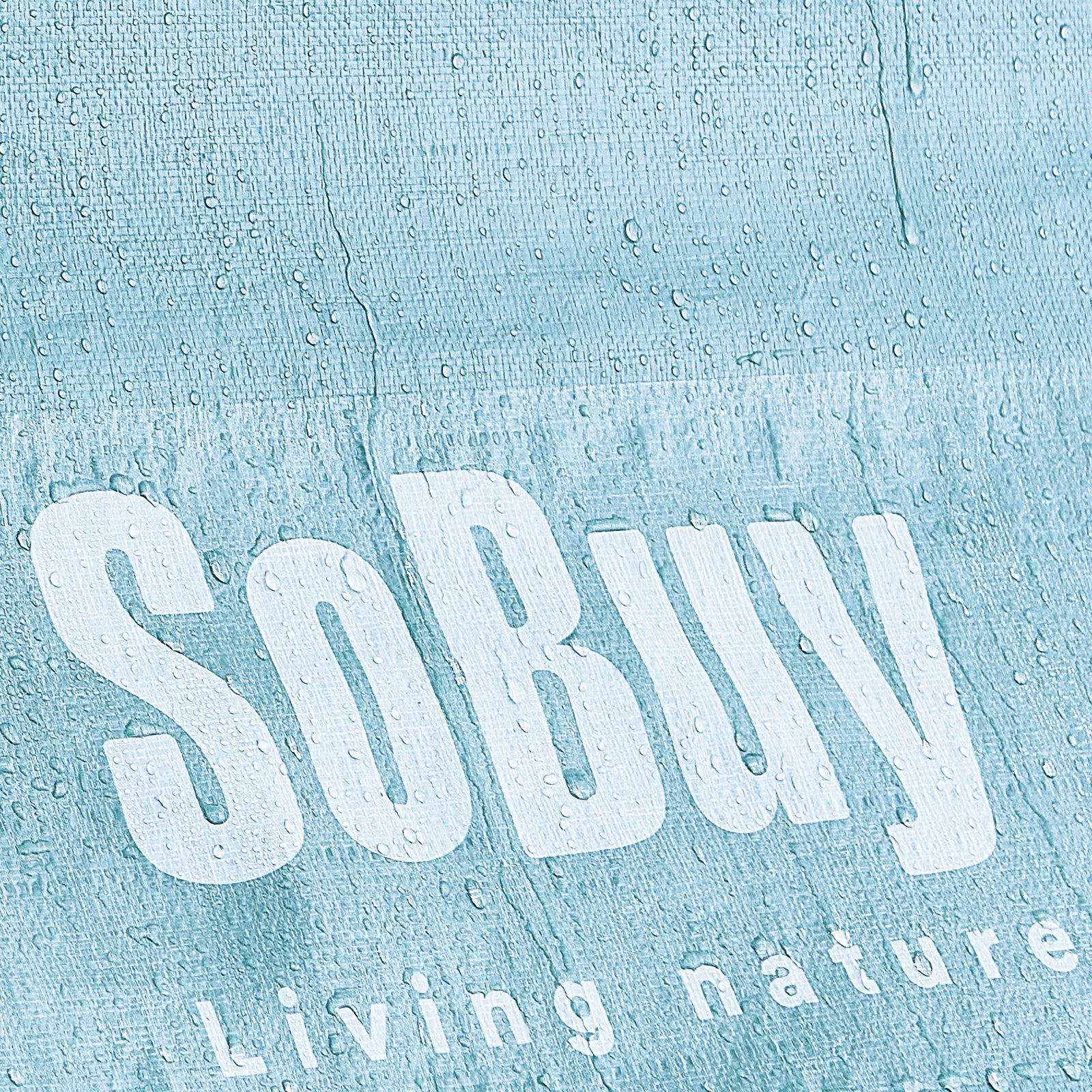 SoBuy | Rimessa per attrezzi in lamina | Capanno attrezzi | Capanno da giardino Tenda per garage Blu | KLS11-BL