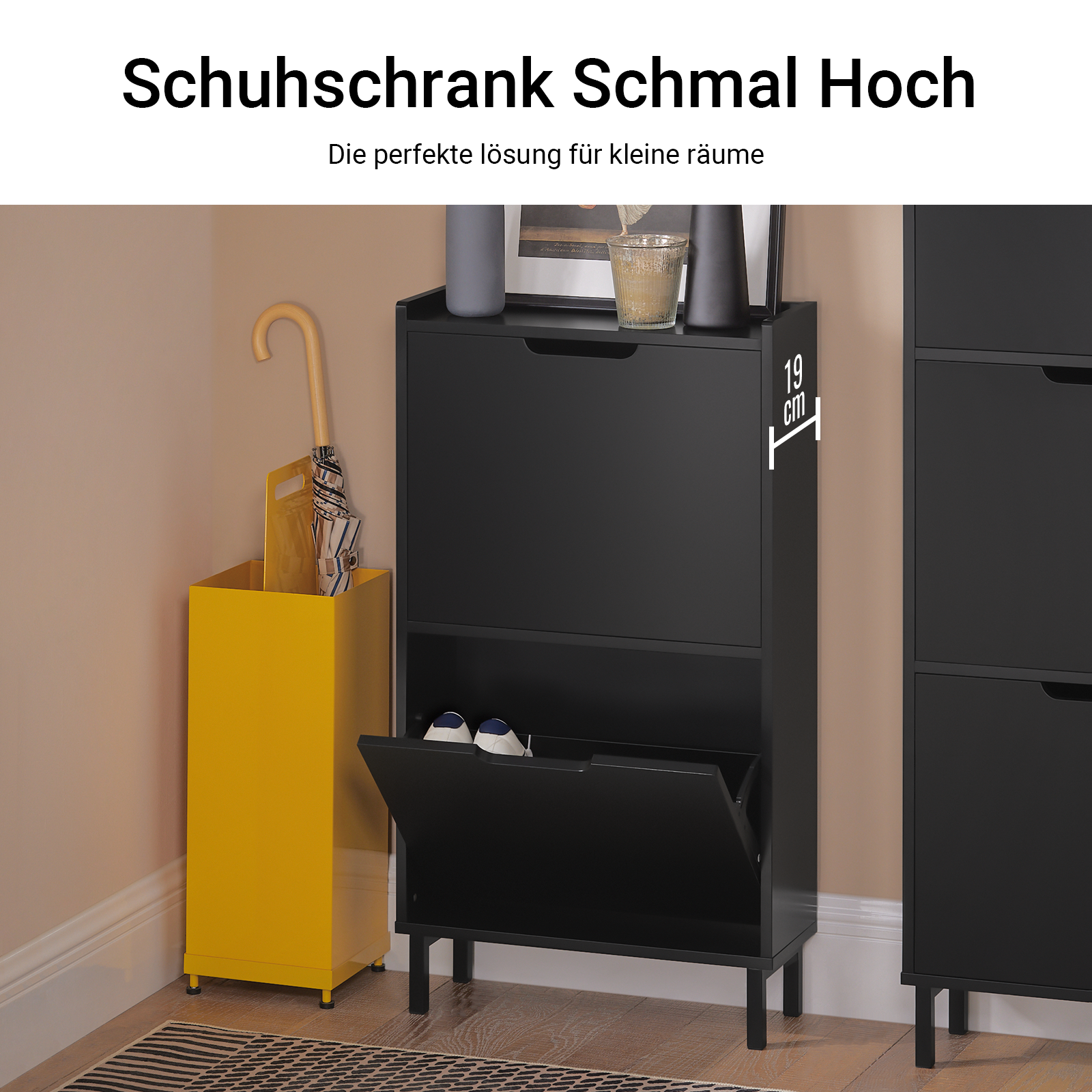 SoBuy | Scarpiera a 2 ante a ribalta | Armadio portascarpe | Cassettiera portascarpe | Nero | 50x90x19cm | FSR151-SCH