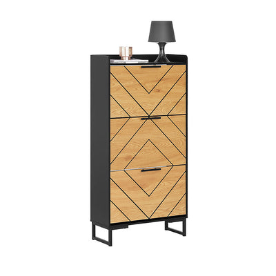 SoBuy | Scarpiera a 3 ante a ribalta | Scarpiera stretta | Nero-marrone | 62x125x24cm | FSR164-SCH