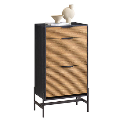 SoBuy | Meuble à chaussures à 2 portes | Meuble à chaussures étroit | Coffre à chaussures | HFSR03-SCH 