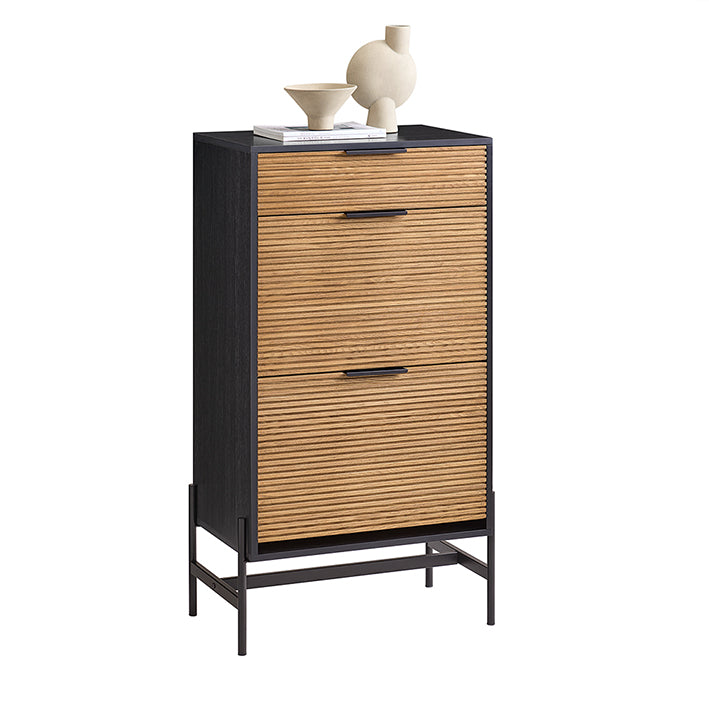 SoBuy | Meuble à chaussures à 2 portes | Meuble à chaussures étroit | Coffre à chaussures | HFSR03-SCH 