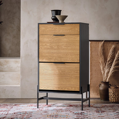 SoBuy | Meuble à chaussures à 2 portes | Meuble à chaussures étroit | Coffre à chaussures | HFSR03-SCH 