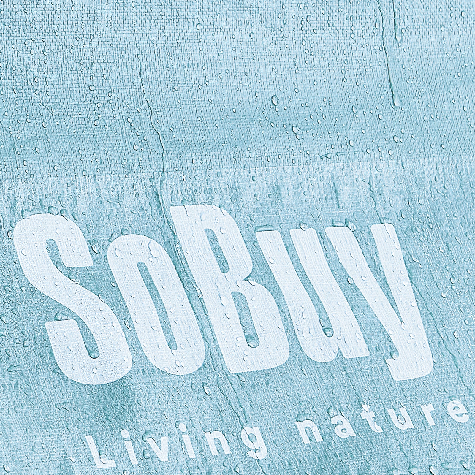 SoBuy | Foliengerätehaus | Gerätehaus | Gartenschuppen Garagenzelt Blau | KLS11-BL