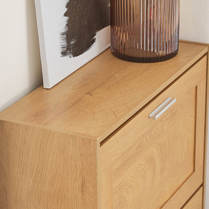 SoBuy | Meuble à chaussures | Armoire à chaussures à 2 portes | Coffre à chaussures | FSR137-N